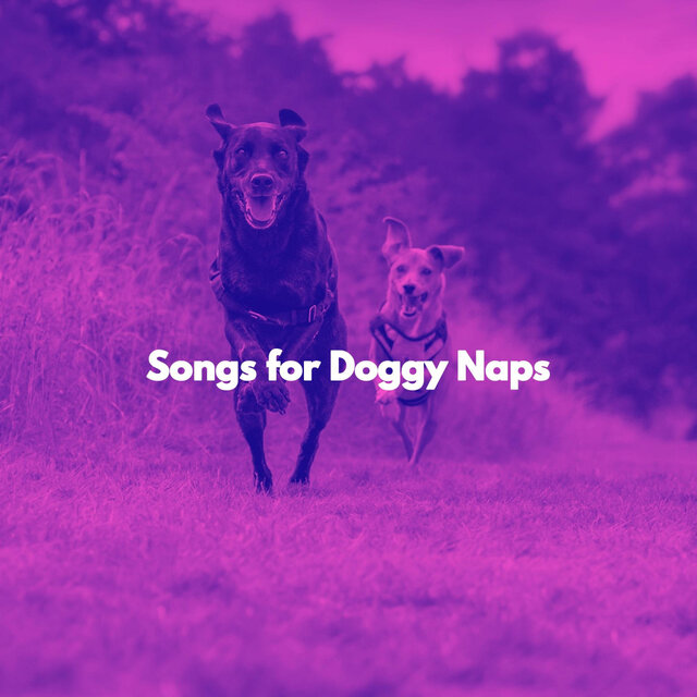 Songs for Doggy Naps