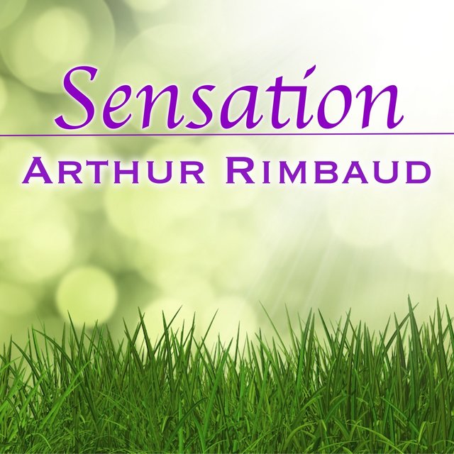 Sensation