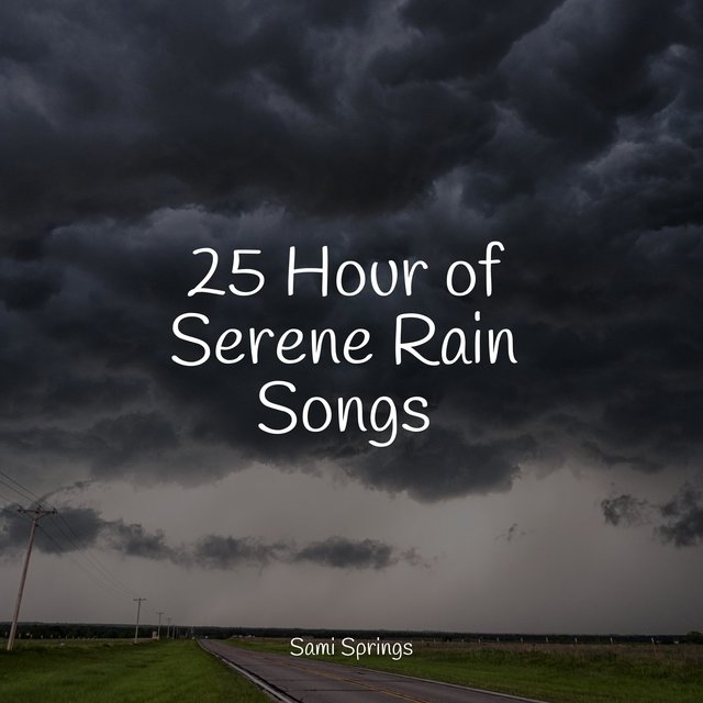 25 Hour of Serene Rain Songs