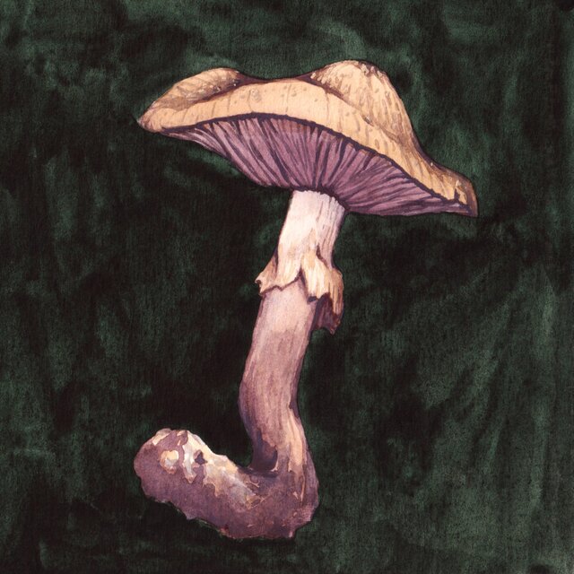 O' Yonder Purple Earth, My Love For You Can Only Grow Deeper