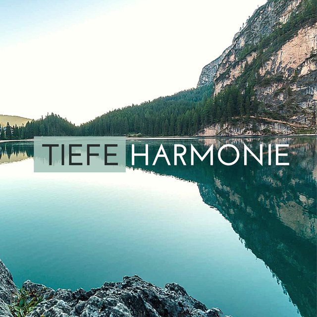 Tiefe Harmonie - Sanfte Musik im Hintergrund & Naturgeräusche