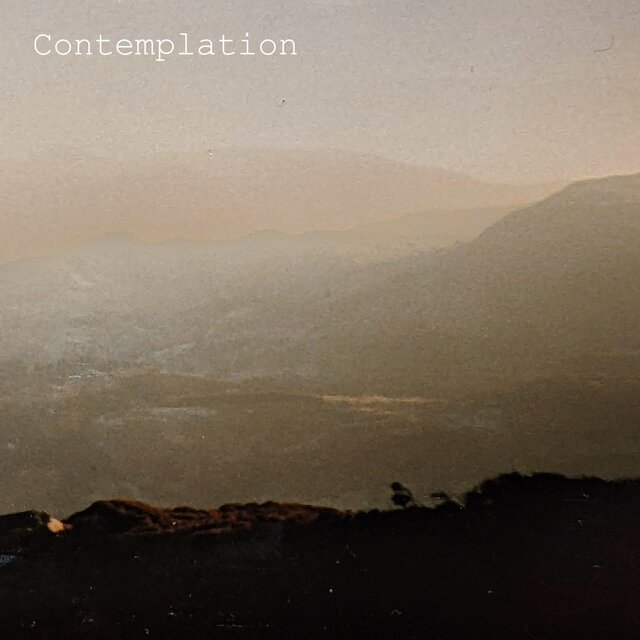 Contemplation