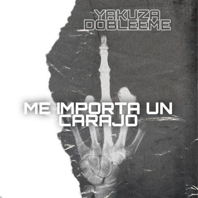 Me importa un carajo