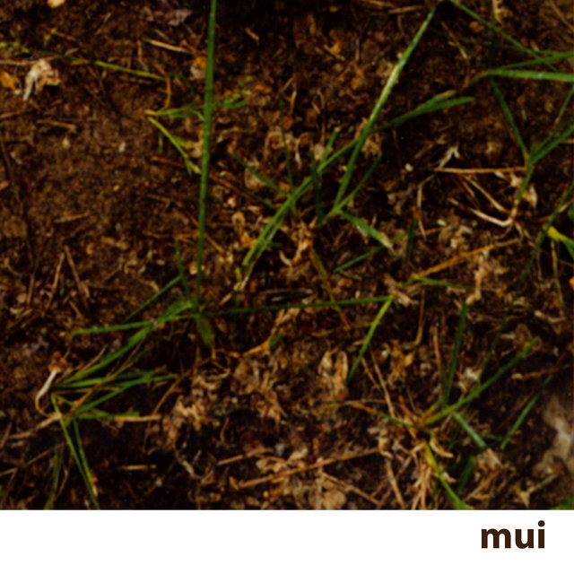 Mui