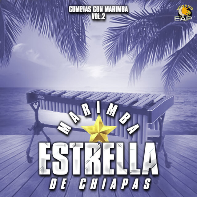Cumbias Con Marimba Vol. 2