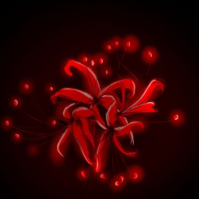 Lycoris
