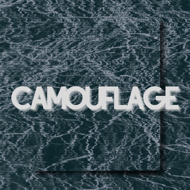 Camouflage