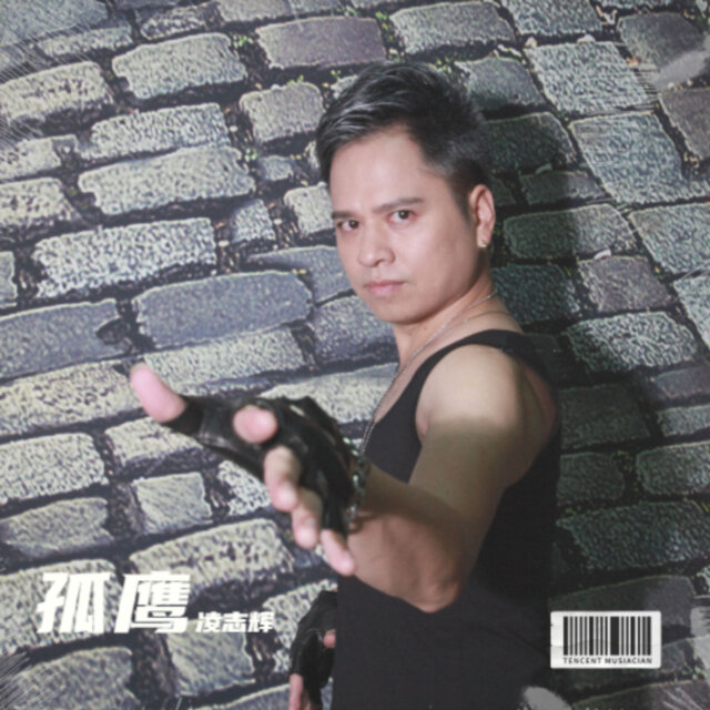 孤鹰