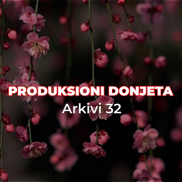 Arkivi 32 Produksioni Donjeta