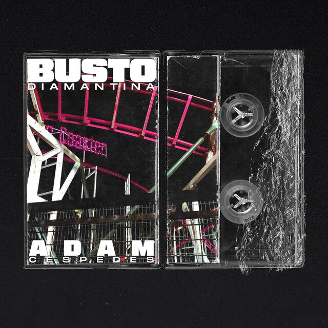 Busto Diamantina