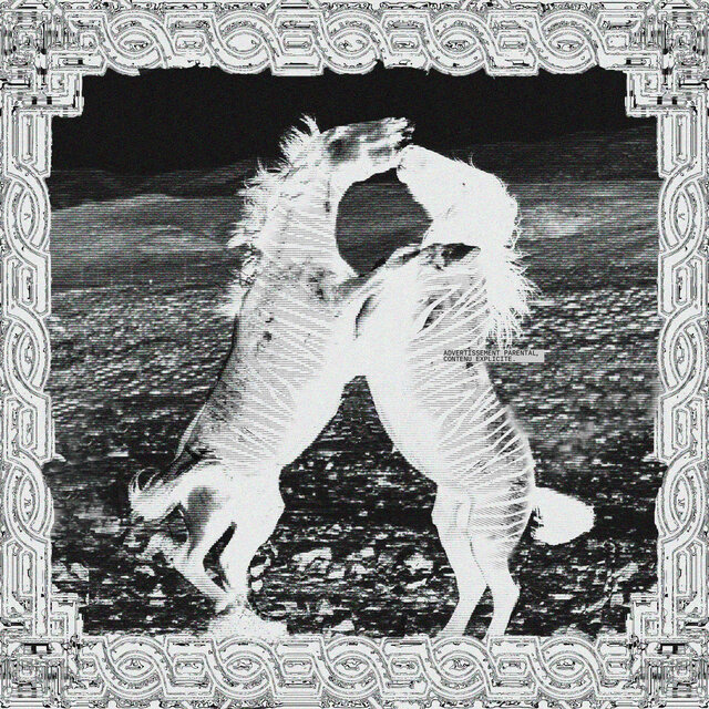 EQUUS FERUS
