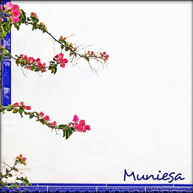 Muniesa