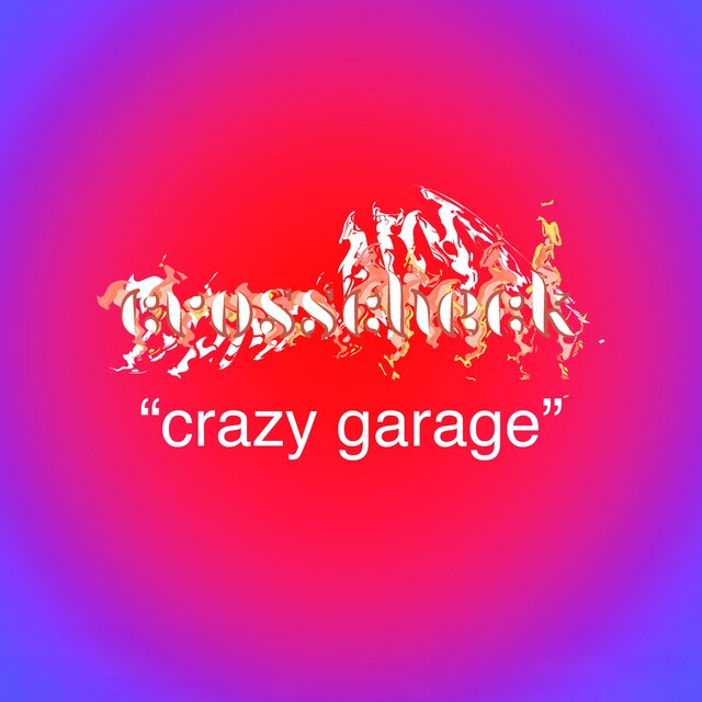 crazy garage