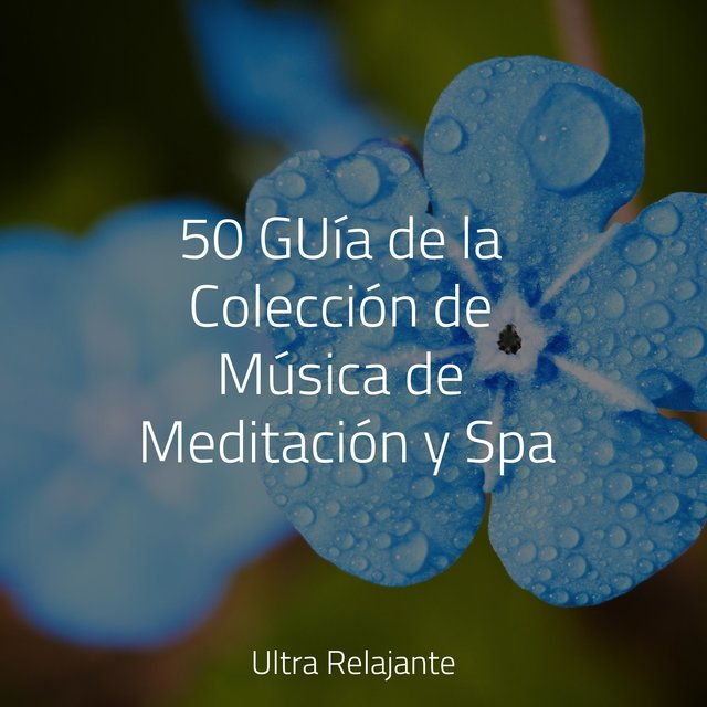50 GUía de la Colección de Música de Meditación y Spa