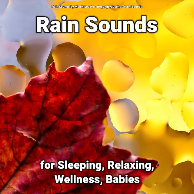Rain Sounds for Sleeping, Relaxing, Wellness, Babies