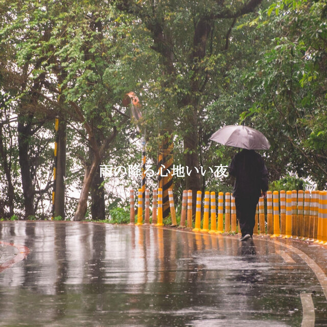 雨の降る心地いい夜