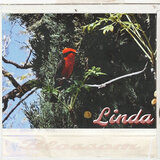 Linda