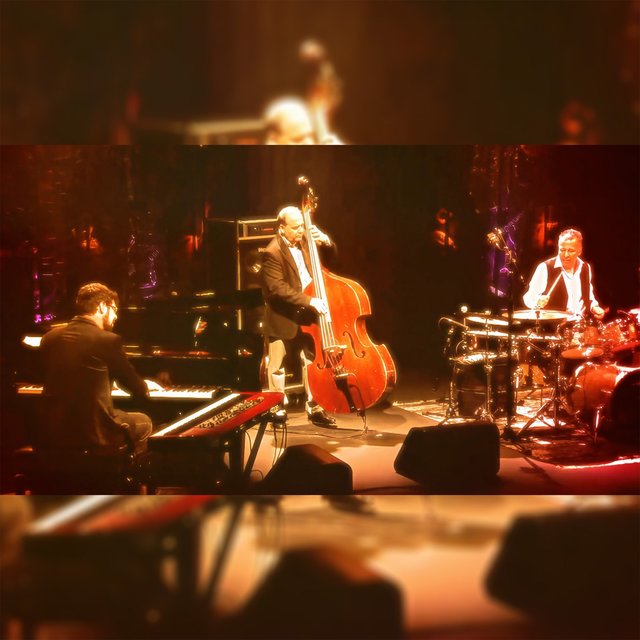 Celso de Almeida (Live)
