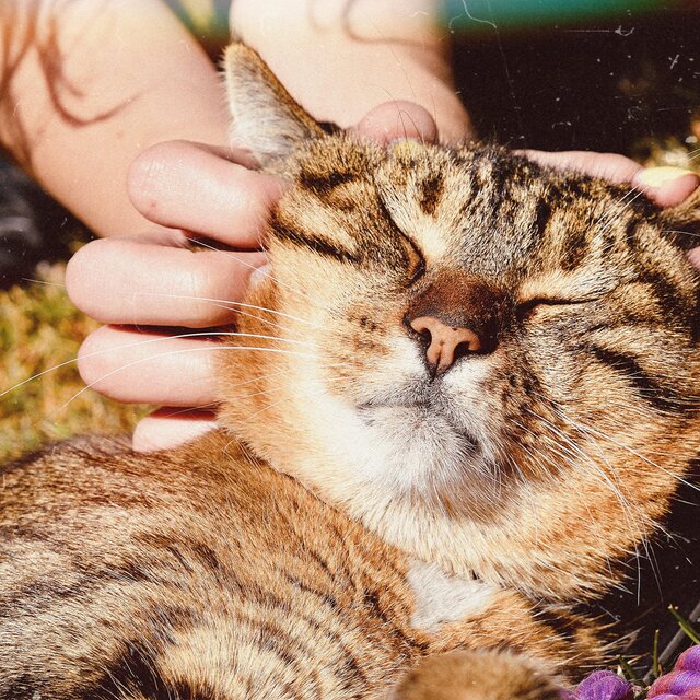 Home With You (feat. Lily Potter)