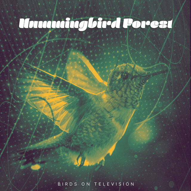 Hummingbird Forest
