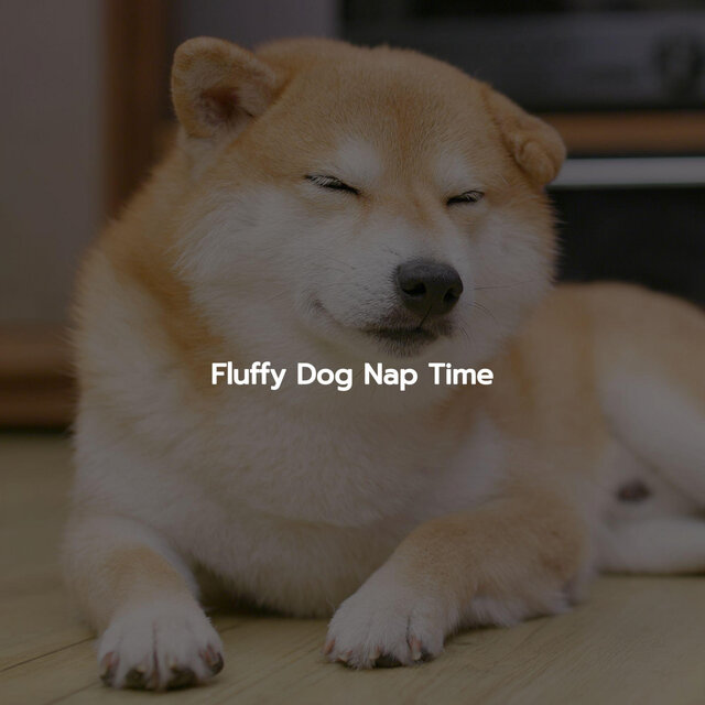 Fluffy Dog Nap Time