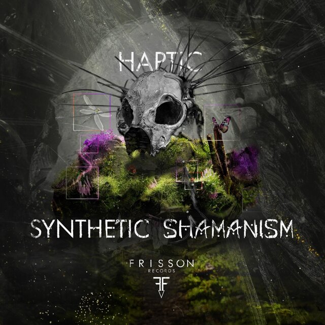 Synthetic Shamanism