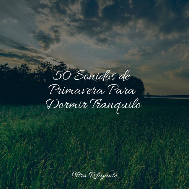 50 Sonidos de Primavera Para Dormir Tranquilo