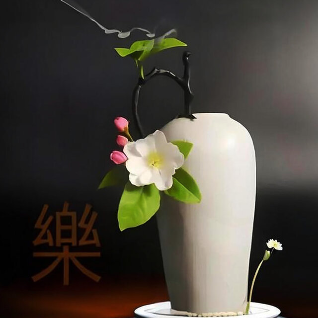 五音疗疾 调养五脏 疏肝理气 禅韵放松轻音乐 古琴曲纯音乐