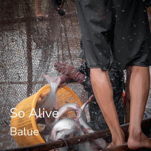 So Alive (Fischer!Mans Party)