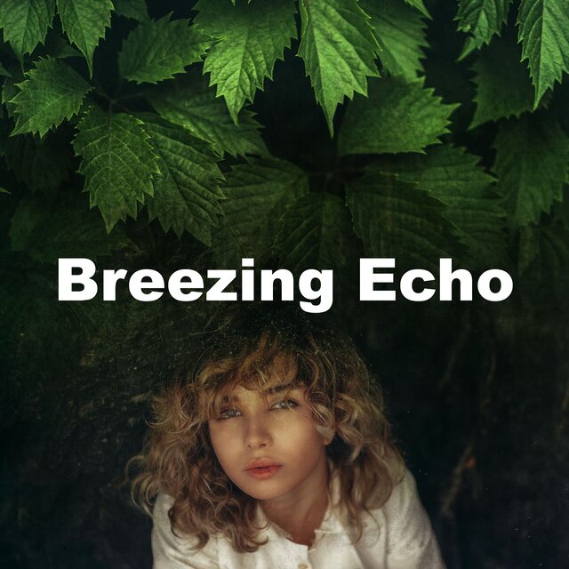 Breezing Echo