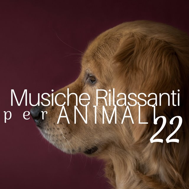 22 Musiche Rilassanti per Animali - Musica per far dormire i Cani, Musica che calma i nostri amici pelosi