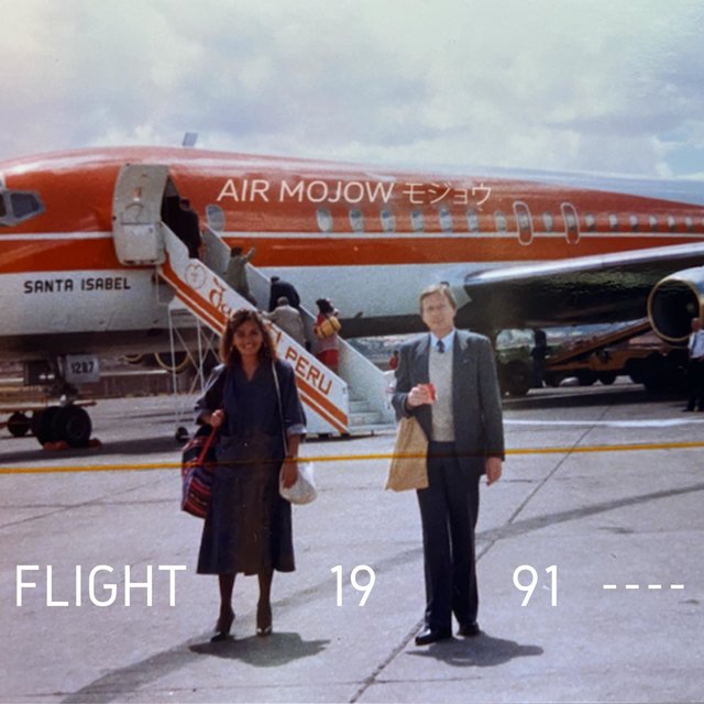 Flight 1991