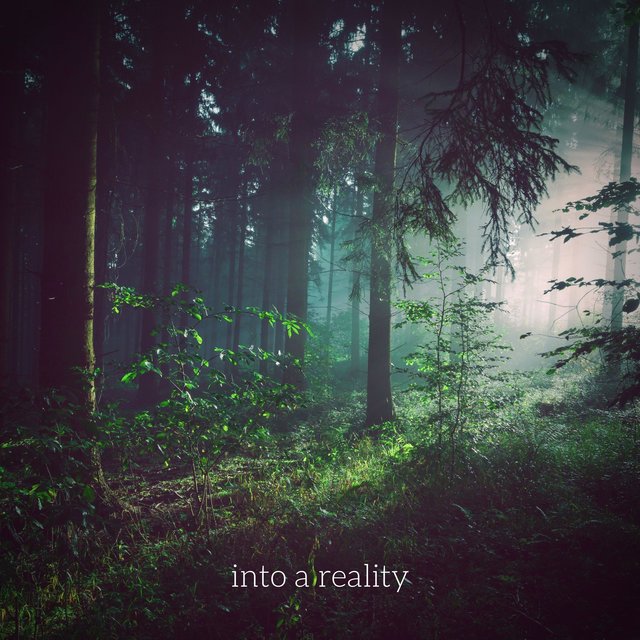 into a reality