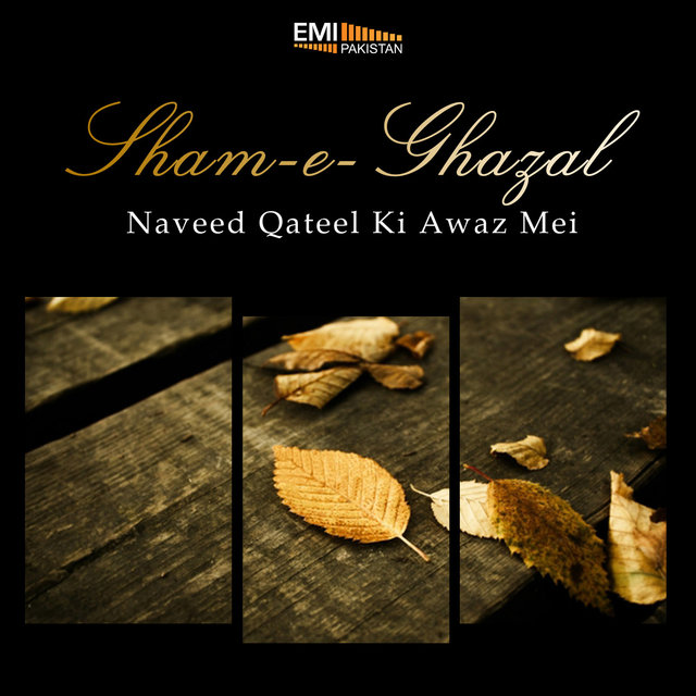 Sham-E-Ghazal