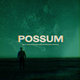 Cover art for album Possum (Original Motion Picture Soundtrack) by The Radiophonic Workshop