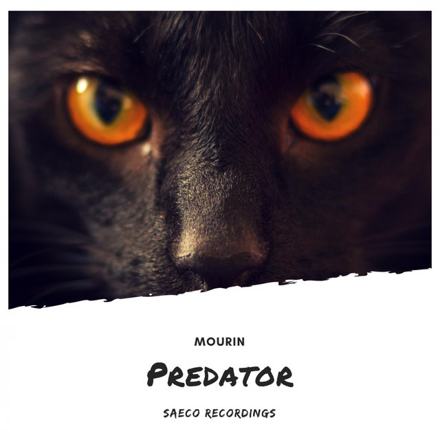 Predator