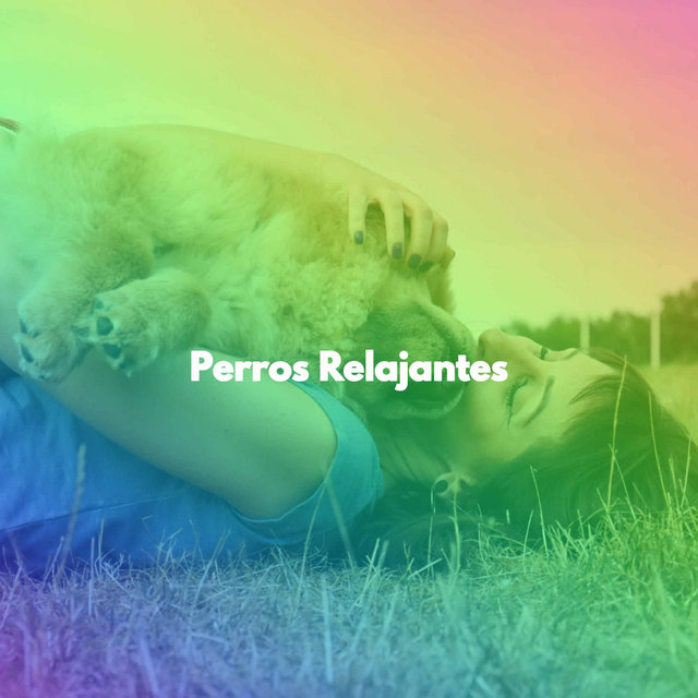 Perros Relajantes