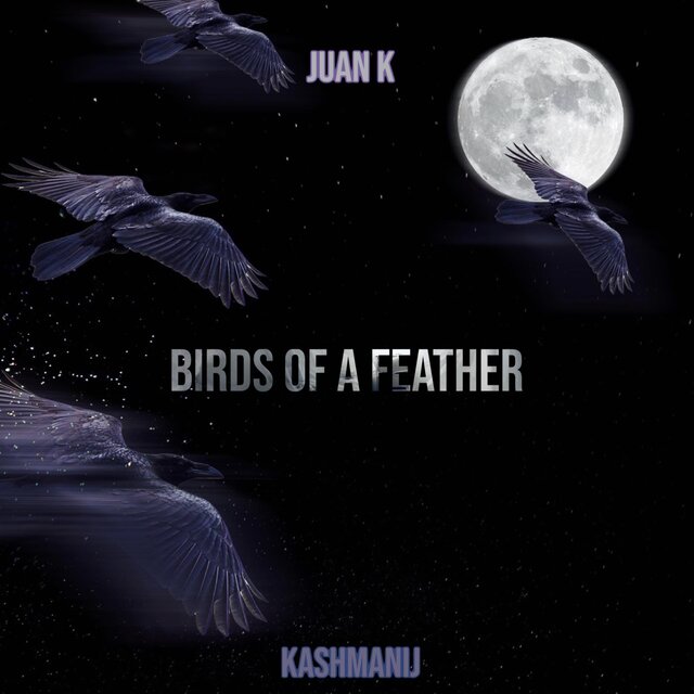 Birds Of A Feather