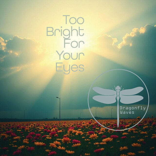 Too Bright For Your Eyes
