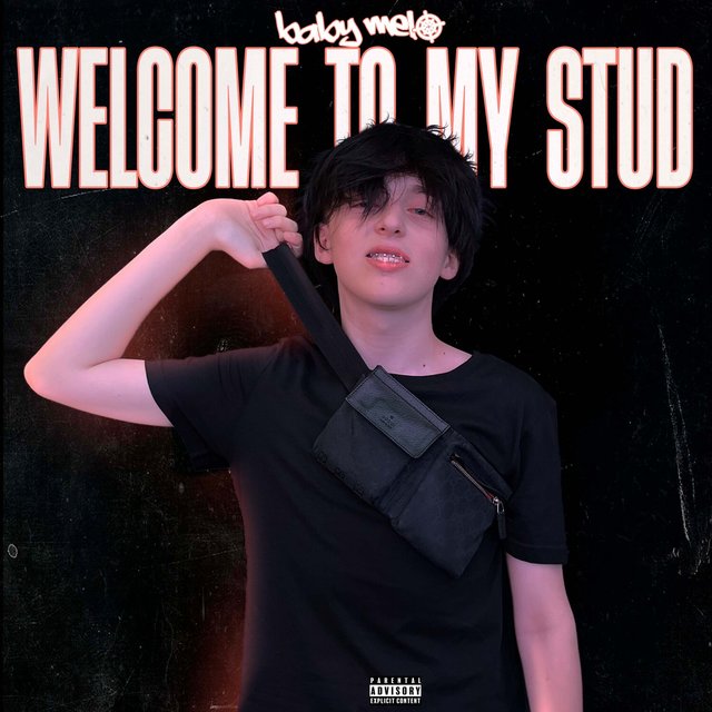 Welcome to my stud