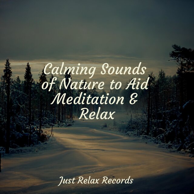 Calming Sounds of Nature to Aid Meditation & Relax