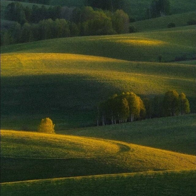 Hidden Sunset