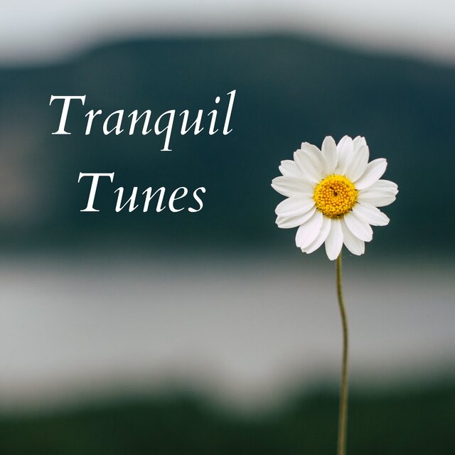 Tranquil Tunes: Soothing Melodies for Stress Relief & Migraine Management