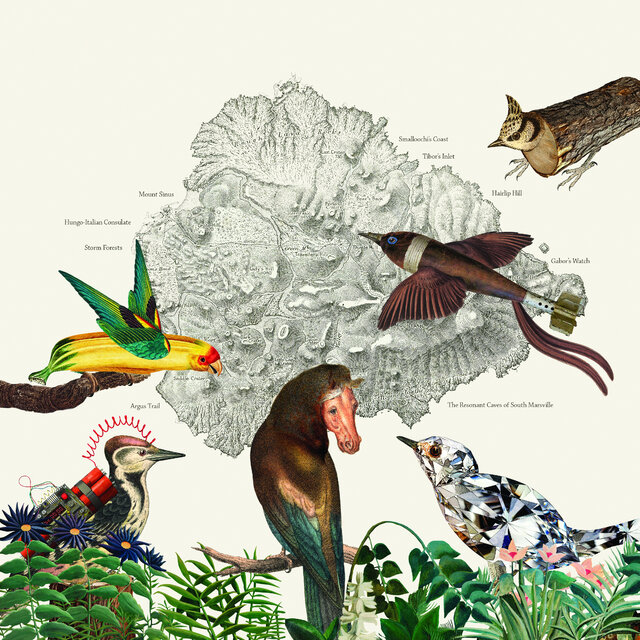 The Birds of Marsville
