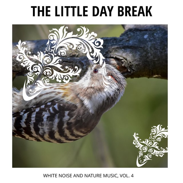 The Little Day Break - White Noise and Nature Music, Vol. 4