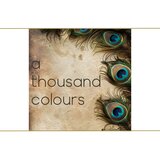 A Thousand Colours