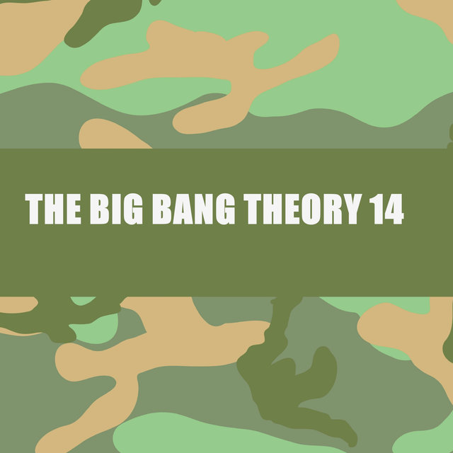 THE BIG BANG THEORY 14