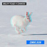 zimní son - tishina