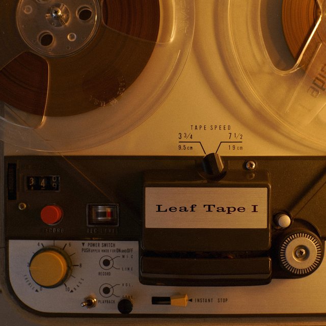 Leaf Tape I