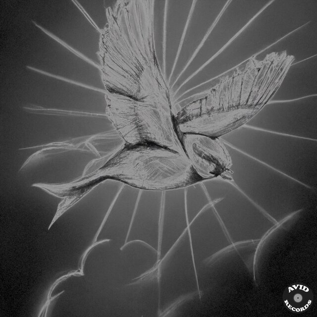 Sparrow